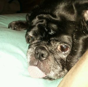 Meet your Posher, Becky